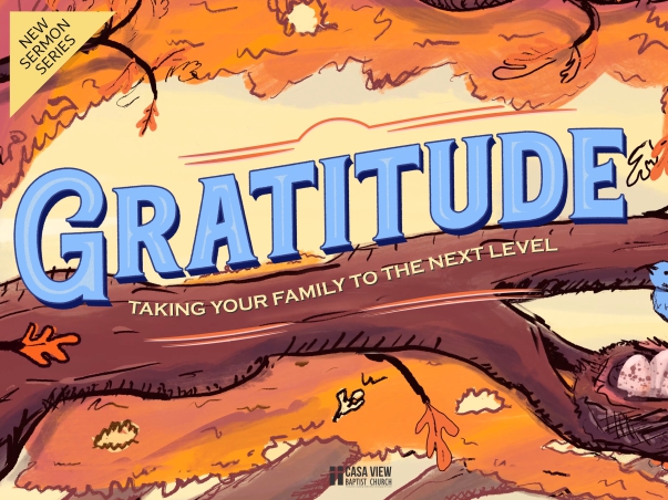 Next Level Gratitude